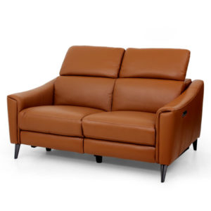 Cranbrook Electric Motion Leather Recliner