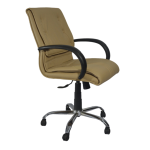 AMM 1019 Leatherite Medium Back Chair